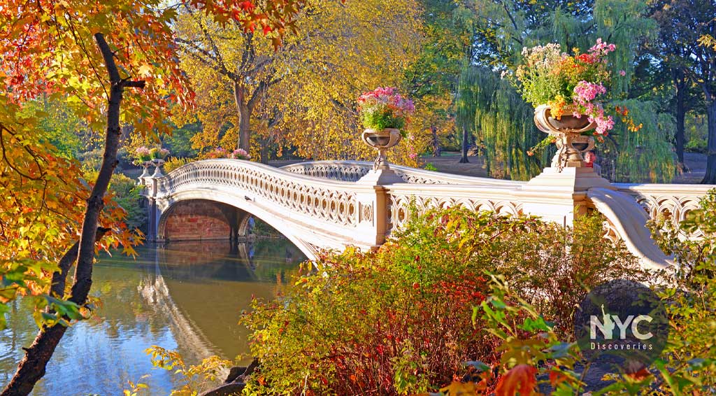 Discover Central Park: The Heart of New York City